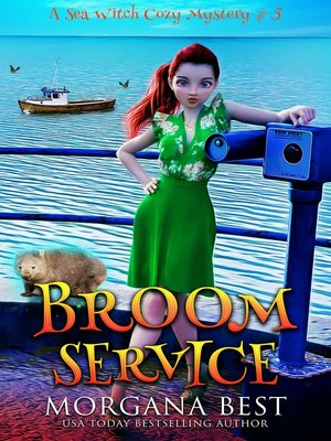 cover image of Broom Service